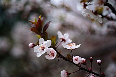 《逃离塔科夫：竞技场》总监：这是一部“中庸之作”